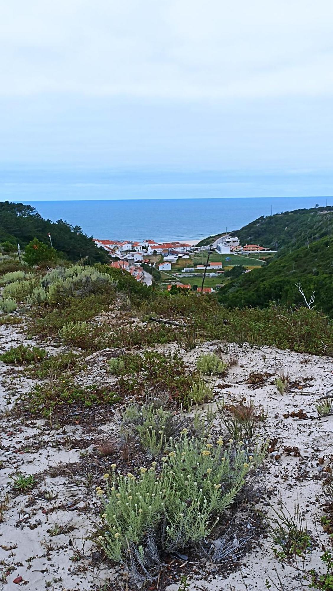Tinyhouse Tilda - Near Famous Beaches ปาไตอัส ภายนอก รูปภาพ