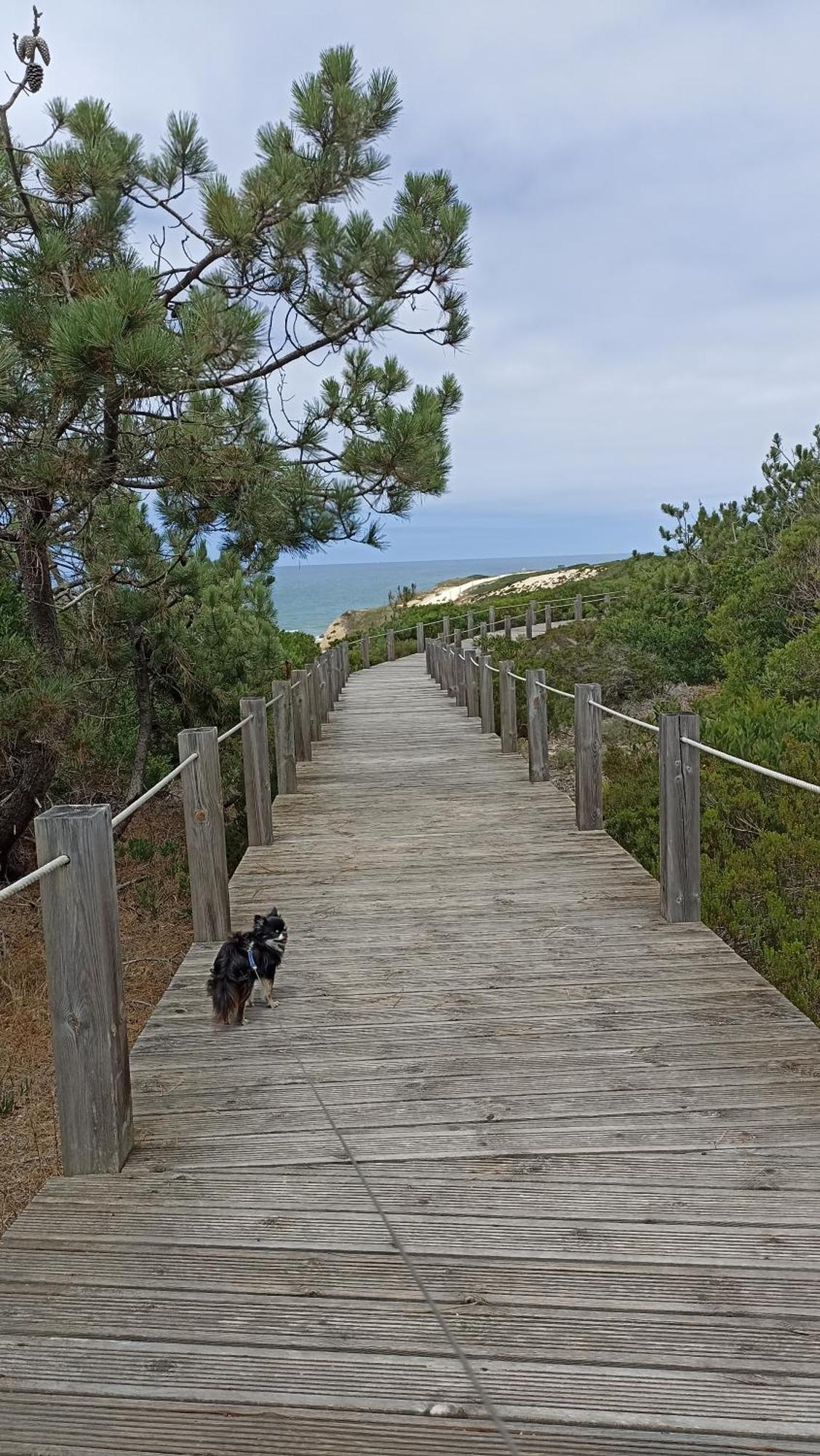 Tinyhouse Tilda - Near Famous Beaches ปาไตอัส ภายนอก รูปภาพ