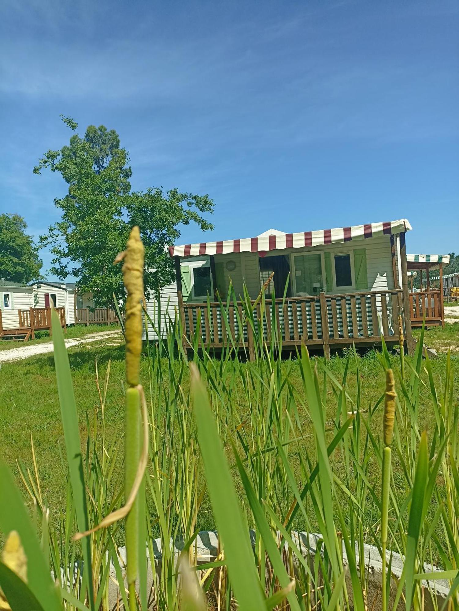 Tinyhouse Tilda - Near Famous Beaches ปาไตอัส ภายนอก รูปภาพ